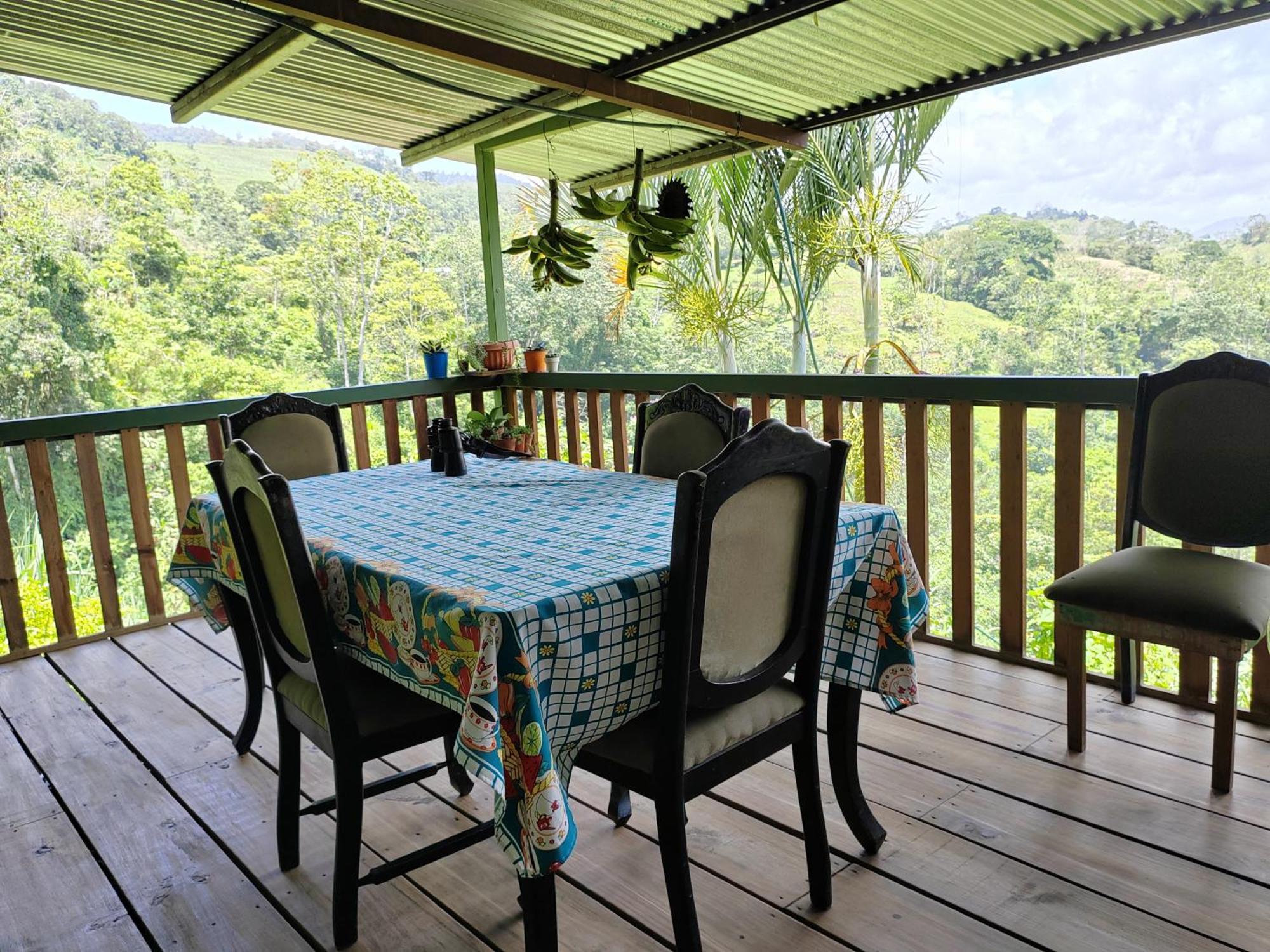 Bella Vista Guest House Turrialba Dış mekan fotoğraf