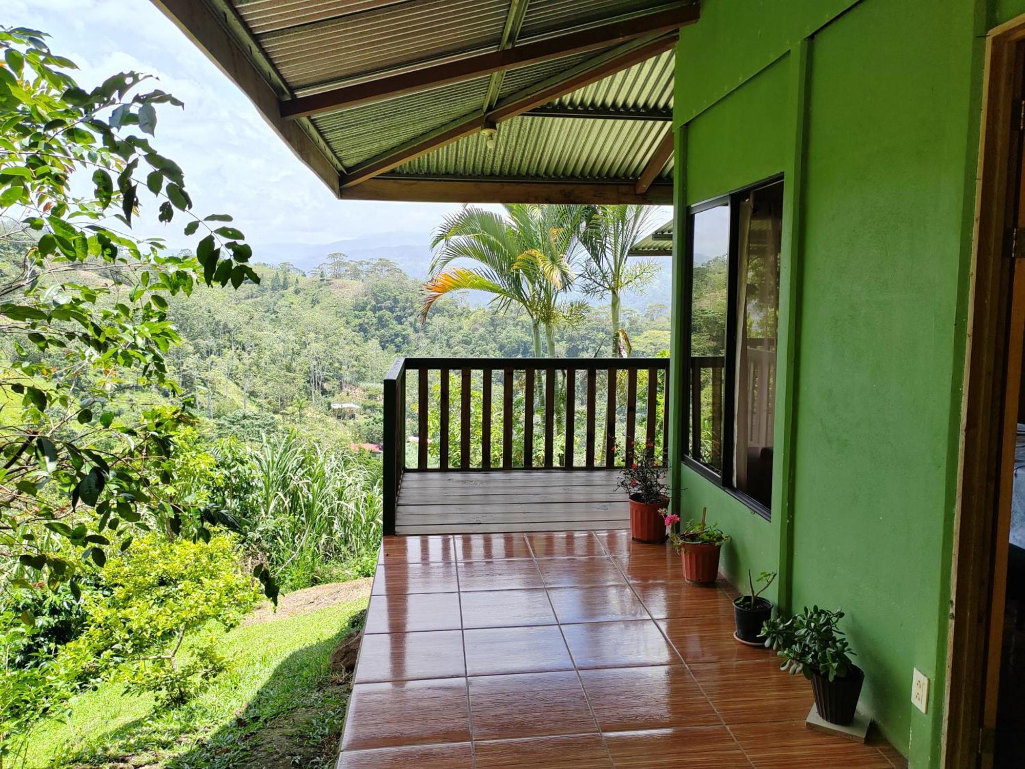 Bella Vista Guest House Turrialba Dış mekan fotoğraf